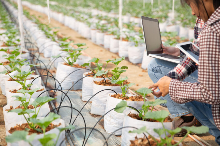 El Futuro de la Tecnología en la Gestión de la Seguridad Alimentaria